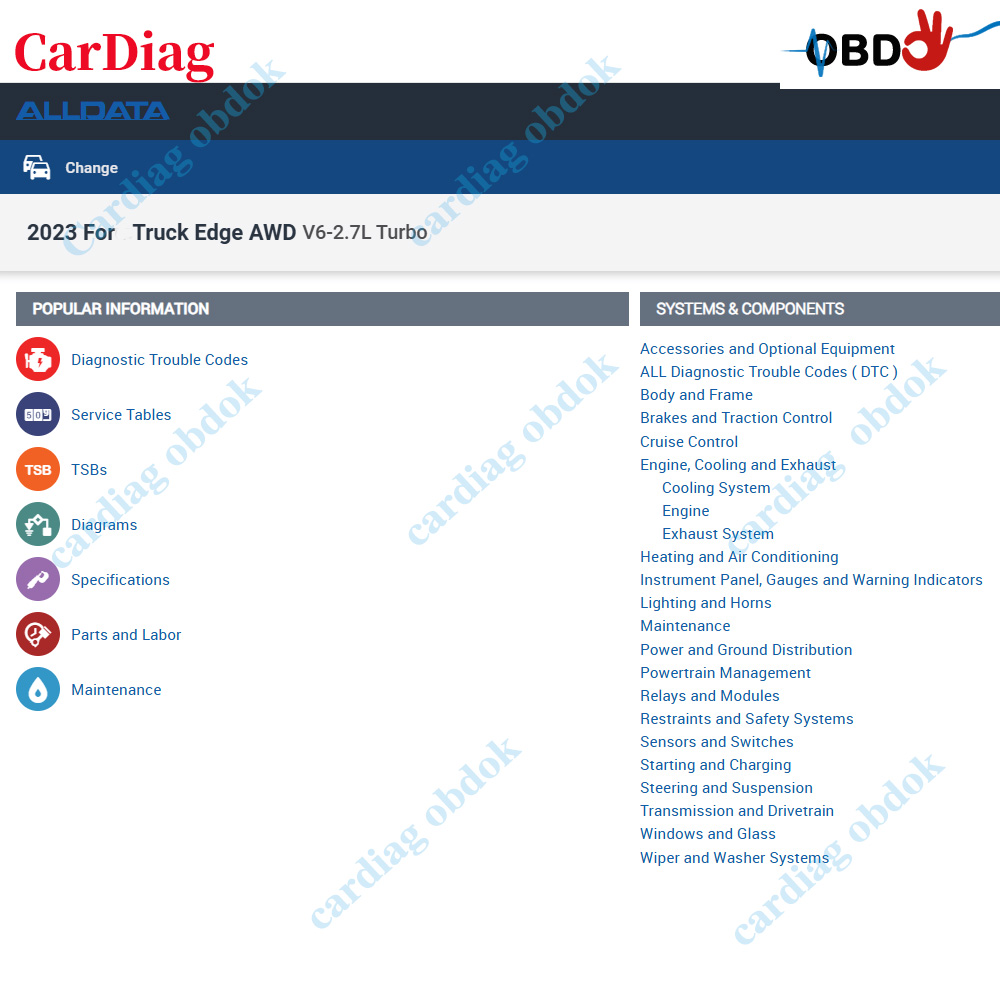 Software Online Alldata USA 20 - Workshop Tools Diagram recensione e prezzo