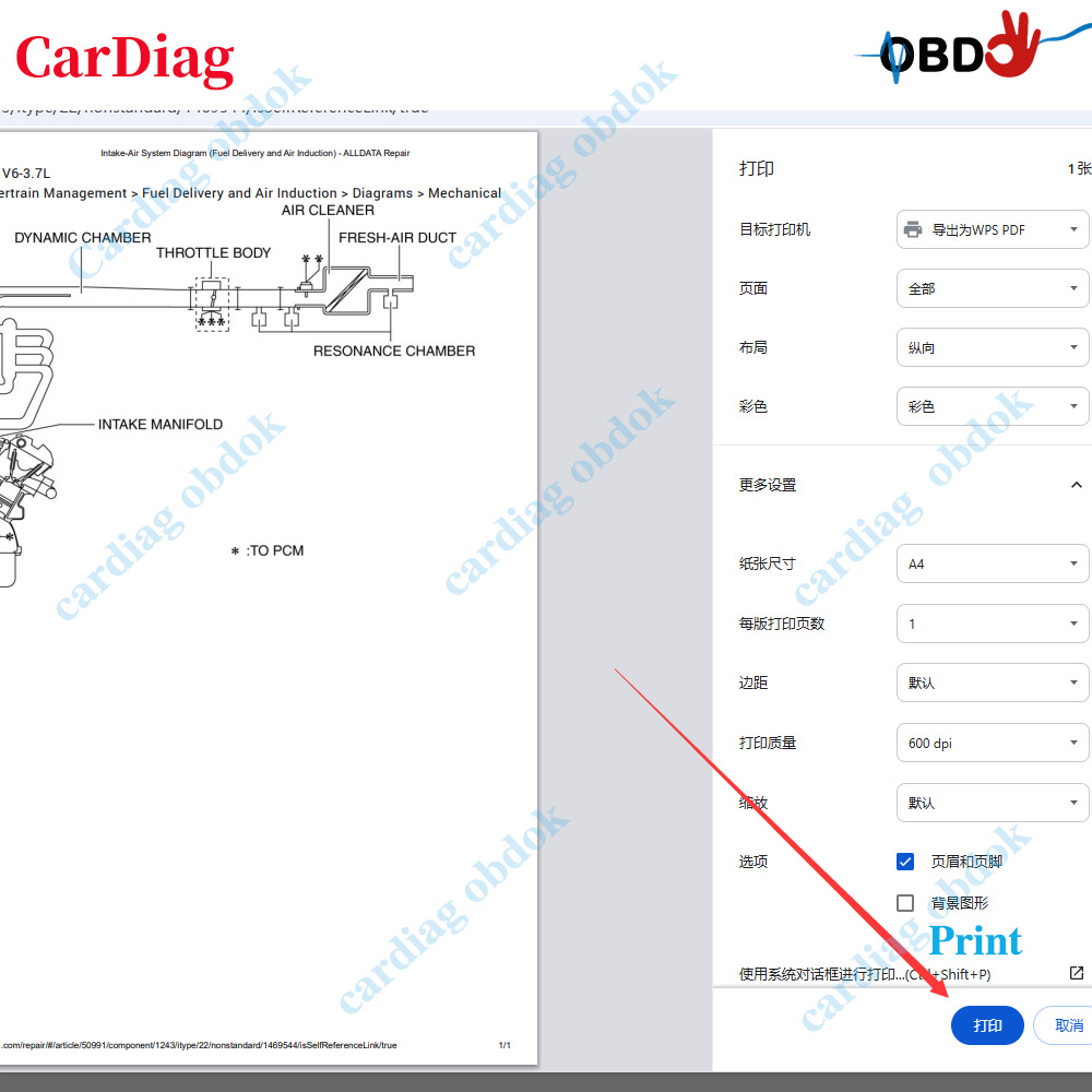 Software Online Alldata USA 20 - Workshop Tools Diagram recensione e prezzo